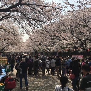 Meet your Posher, Mia